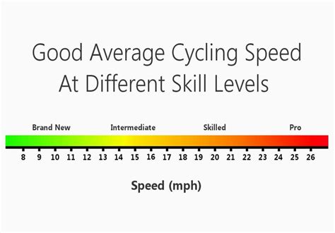 How Long to Bike 40 Miles: A Journey Through Time, Terrain, and Tires