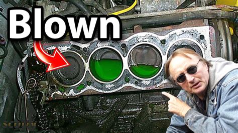 How to Tell if a Car Engine is Blown: And Why Your Cat Might Be the Best Mechanic